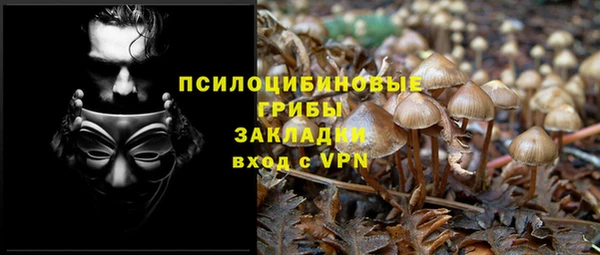 молекула духа Балахна